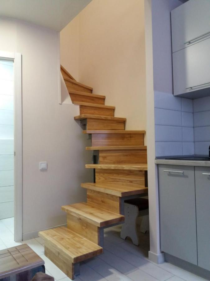 Marka Vovchka Apaartment Lviv Buitenkant foto